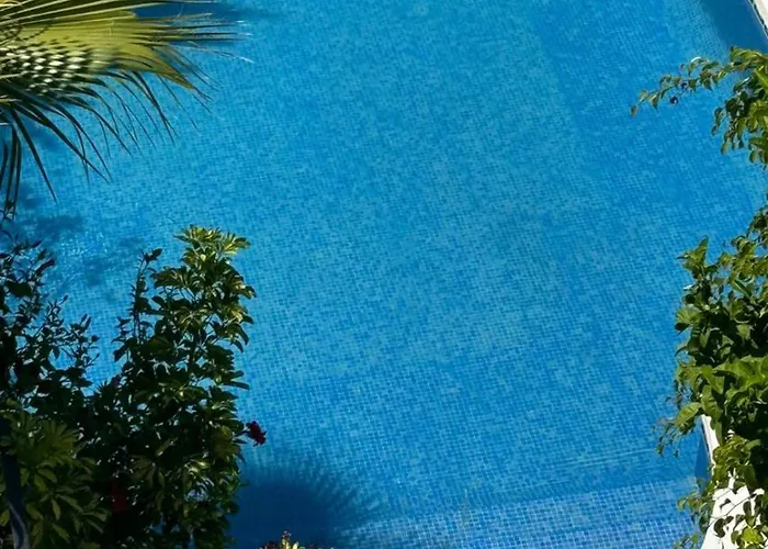 Sea Marbella